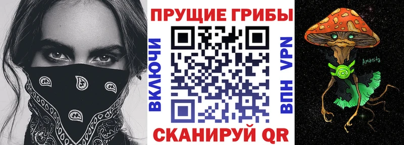 Купить  Егорьевск  Псилоцибиновые грибы Cubensis 